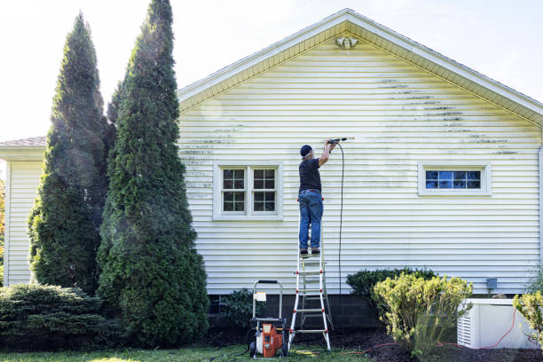 Best Fence Cleaning  in Lake Sherwood, CA